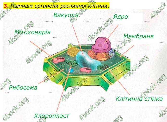 ГДЗ Зошит Біологія 7 клас Тагліна