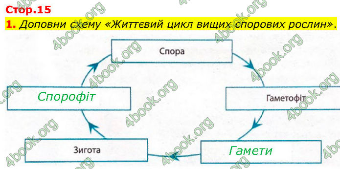 ГДЗ Зошит Біологія 7 клас Тагліна