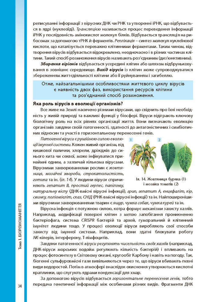 Біологія і екологія 10 клас Соболь 2018 (Укр.)
