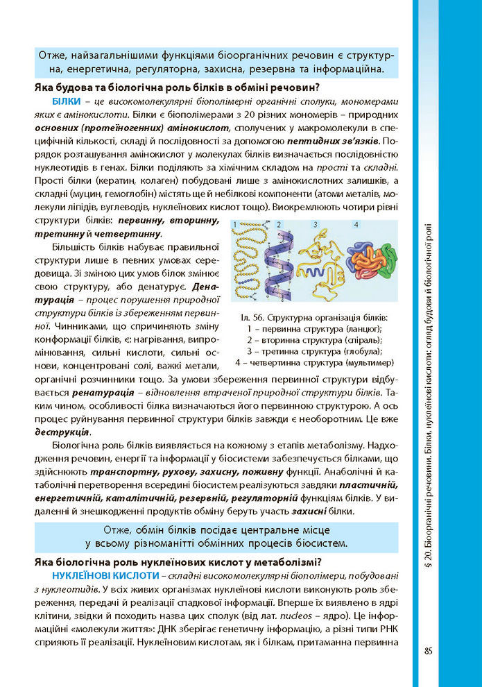 Біологія і екологія 10 клас Соболь 2018 (Укр.)