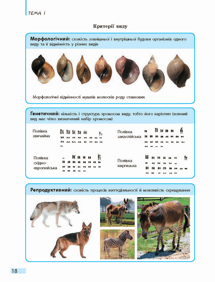 Біологія і екологія 10 клас Задорожний 2018 (Станд.)
