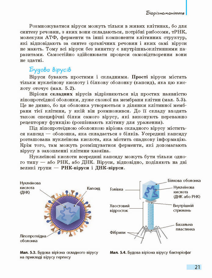 Біологія і екологія 10 клас Задорожний 2018 (Станд.)