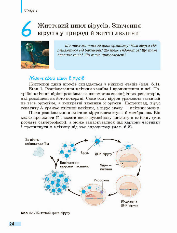 Біологія і екологія 10 клас Задорожний 2018 (Станд.)