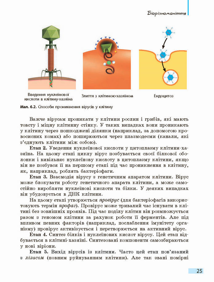 Біологія і екологія 10 клас Задорожний 2018 (Станд.)