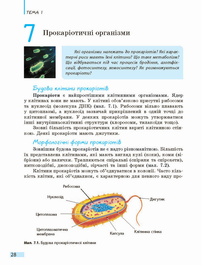 Біологія і екологія 10 клас Задорожний 2018 (Станд.)