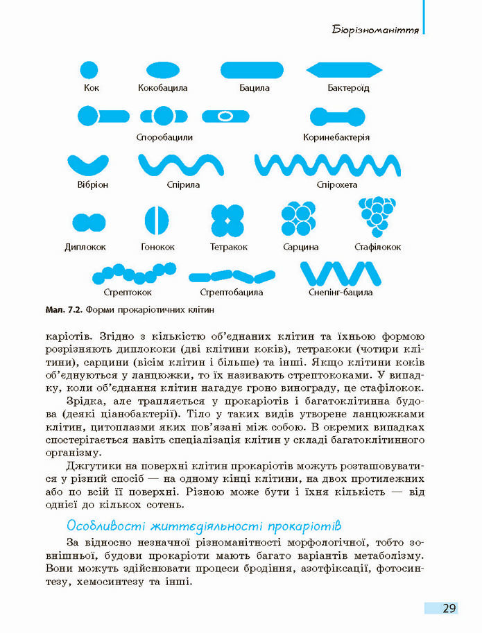 Біологія і екологія 10 клас Задорожний 2018 (Станд.)