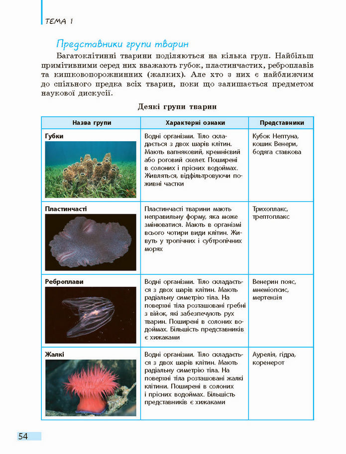 Біологія і екологія 10 клас Задорожний 2018 (Станд.)