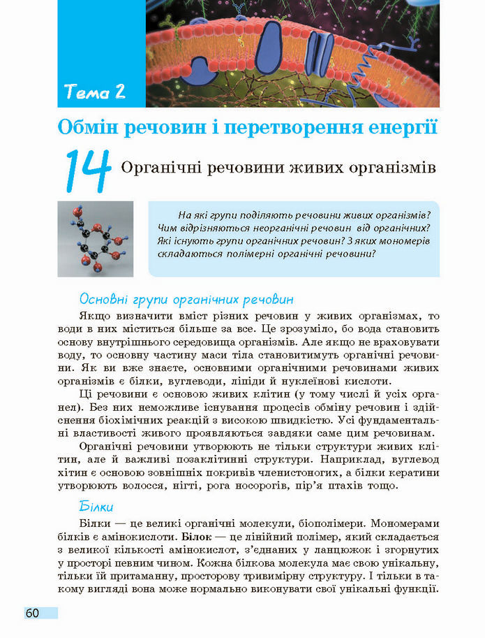 Біологія і екологія 10 клас Задорожний 2018 (Станд.)