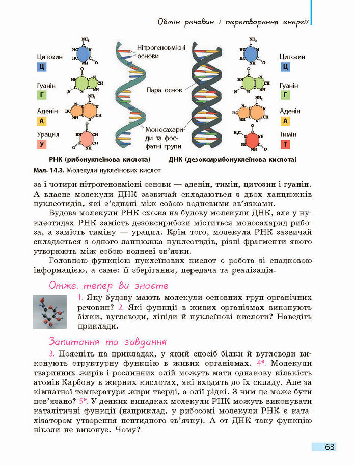 Біологія і екологія 10 клас Задорожний 2018 (Станд.)