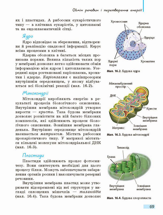 Біологія і екологія 10 клас Задорожний 2018 (Станд.)