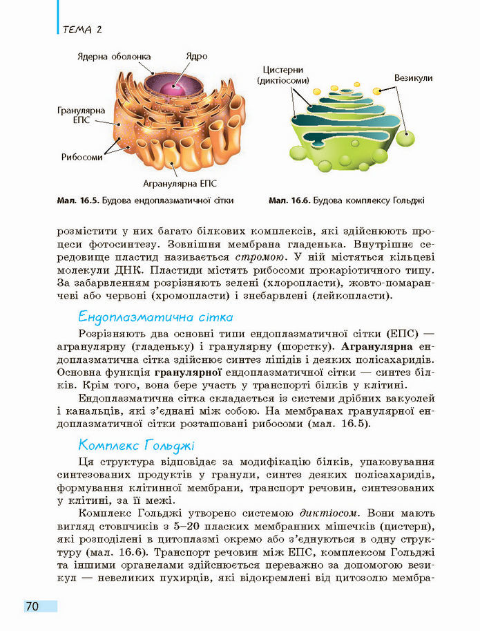 Біологія і екологія 10 клас Задорожний 2018 (Станд.)