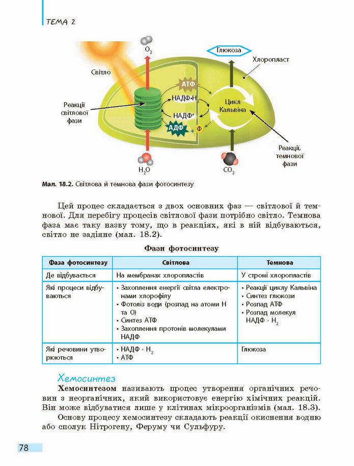 Біологія і екологія 10 клас Задорожний 2018 (Станд.)