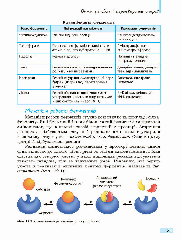 Біологія і екологія 10 клас Задорожний 2018 (Станд.)