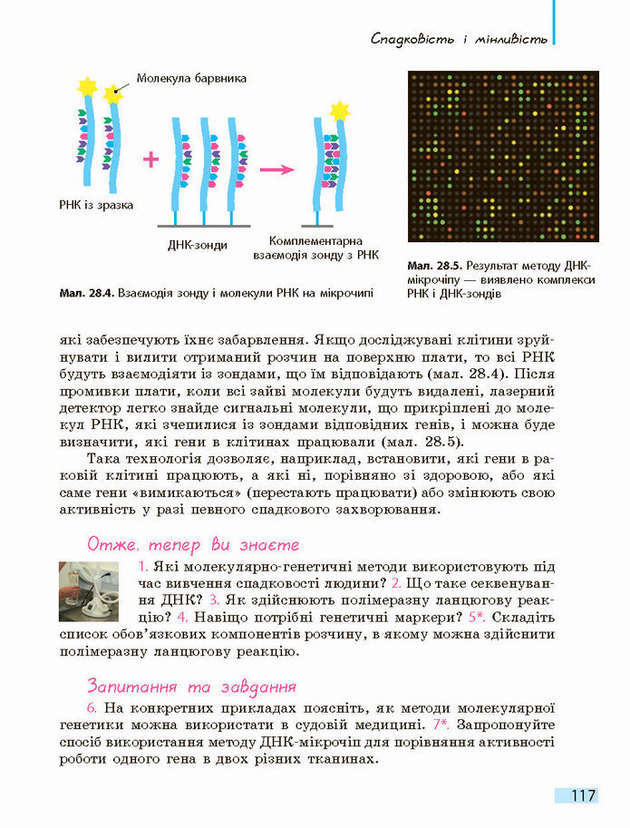 Біологія і екологія 10 клас Задорожний 2018 (Станд.)