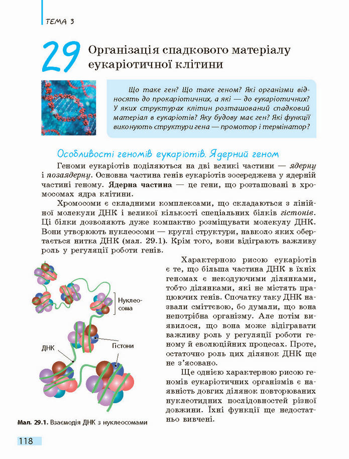 Біологія і екологія 10 клас Задорожний 2018 (Станд.)