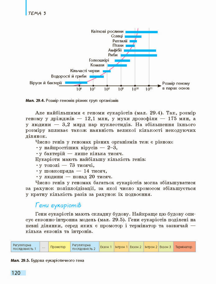 Біологія і екологія 10 клас Задорожний 2018 (Станд.)