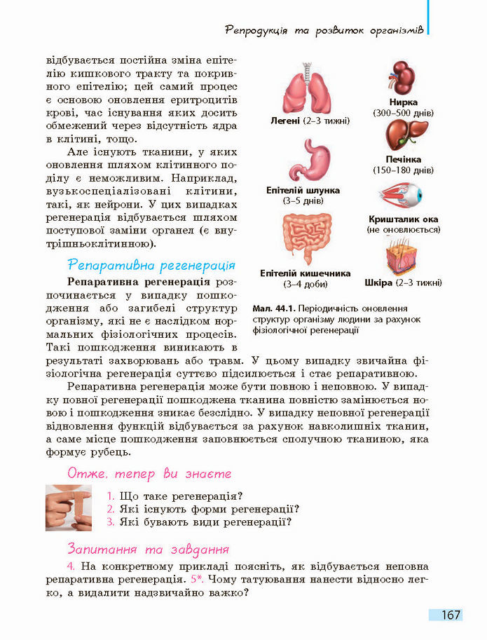 Біологія і екологія 10 клас Задорожний 2018 (Станд.)