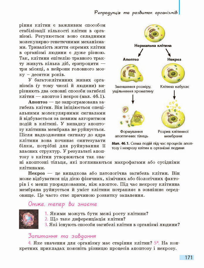 Біологія і екологія 10 клас Задорожний 2018 (Станд.)