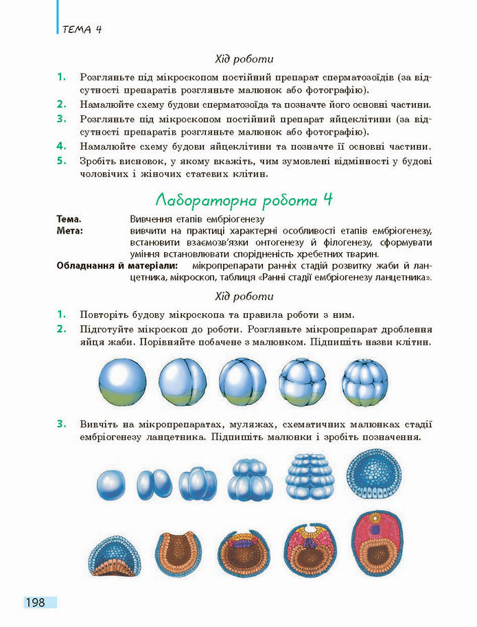 Біологія і екологія 10 клас Задорожний 2018 (Станд.)