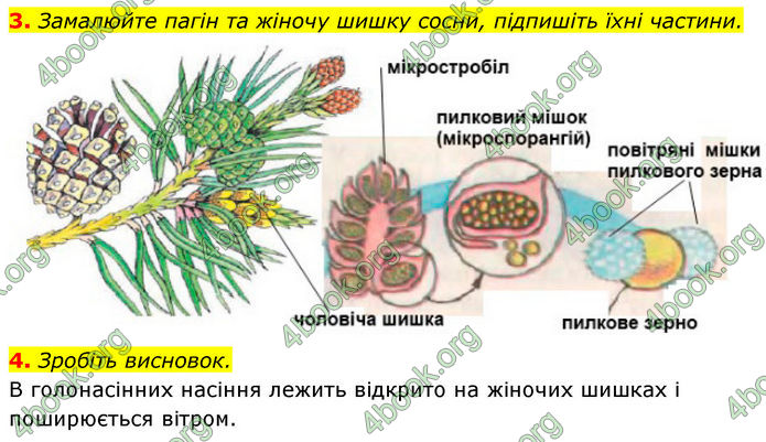 ГДЗ Біологія 7 клас Тагліна