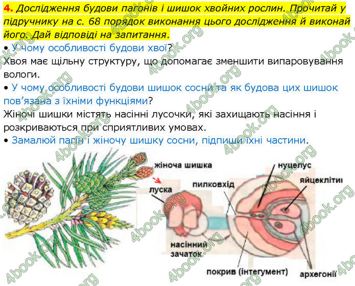 ГДЗ Зошит Біологія 7 клас Тагліна