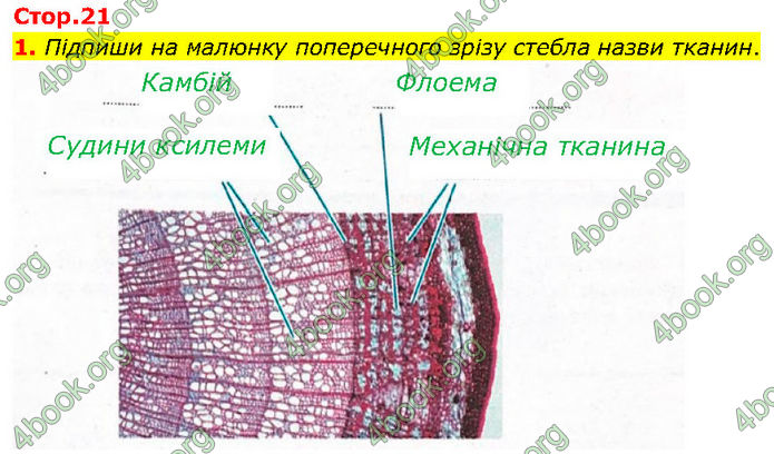 ГДЗ Зошит Біологія 7 клас Тагліна