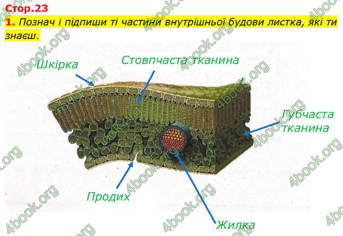 ГДЗ Зошит Біологія 7 клас Тагліна