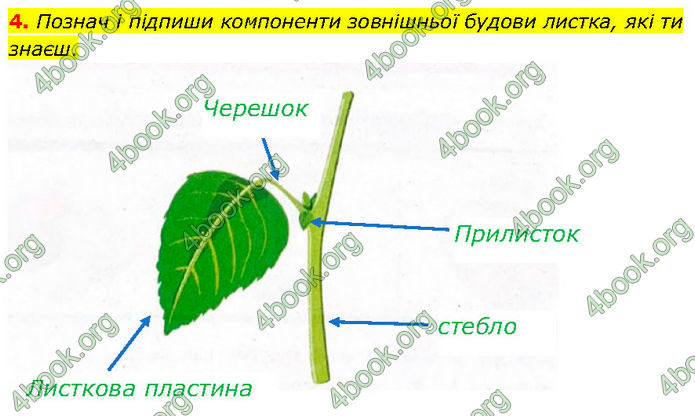 ГДЗ Зошит Біологія 7 клас Тагліна