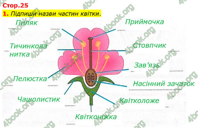 ГДЗ Зошит Біологія 7 клас Тагліна