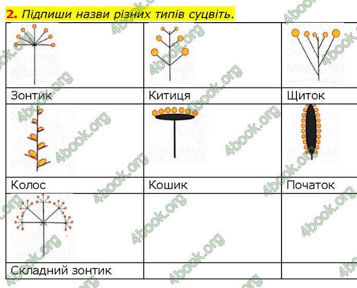 ГДЗ Зошит Біологія 7 клас Тагліна