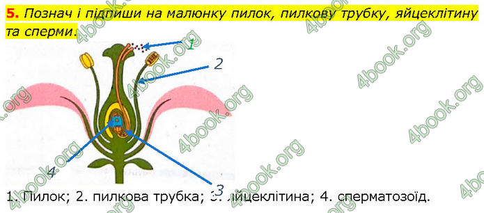 ГДЗ Зошит Біологія 7 клас Тагліна