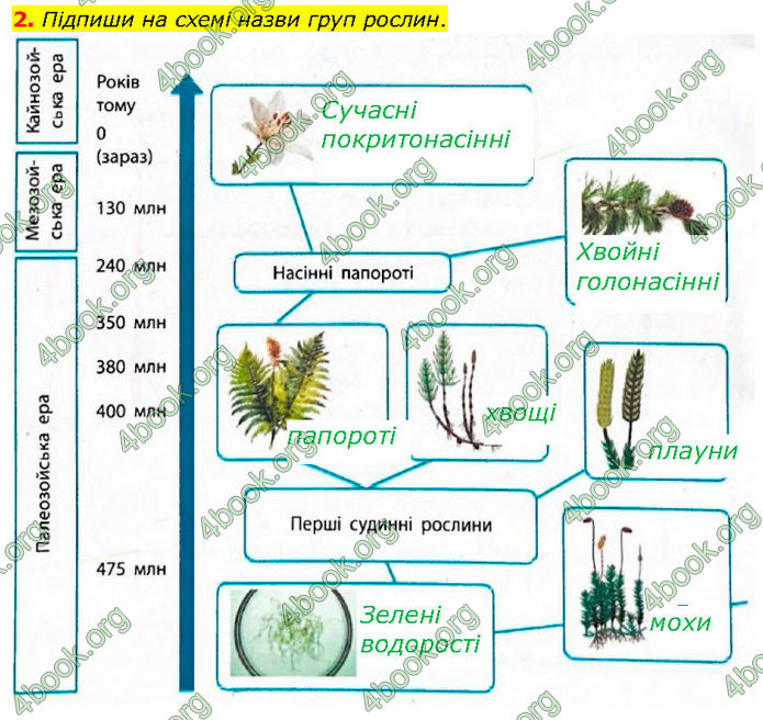 ГДЗ Зошит Біологія 7 клас Тагліна