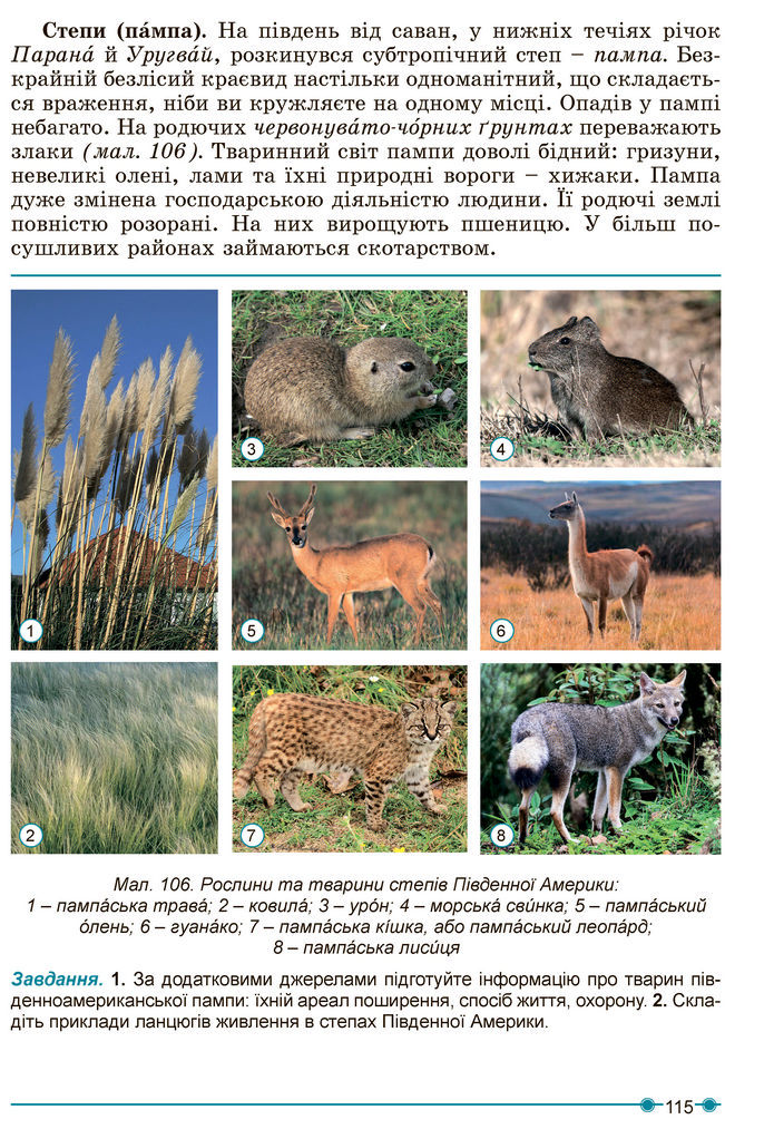 Підручник Географія 7 клас Кобернік (2024)