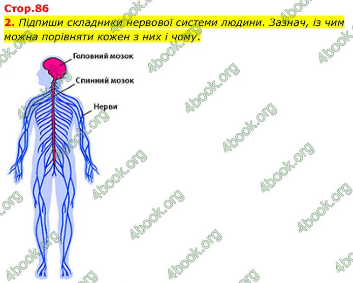 ГДЗ Зошит Пізнаємо природу 6 клас Коршевнюк