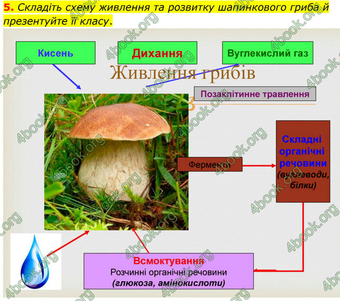 ГДЗ Біологія 7 клас Тагліна