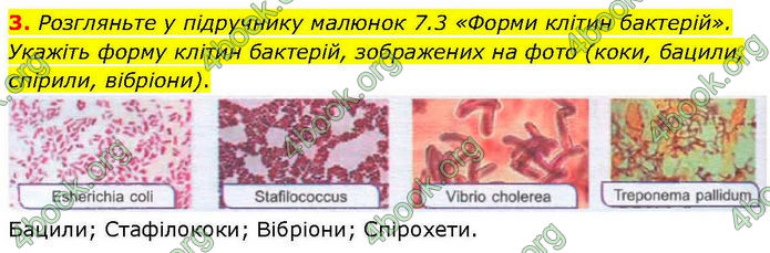 ГДЗ зошит Біологія 7 клас Кулініч