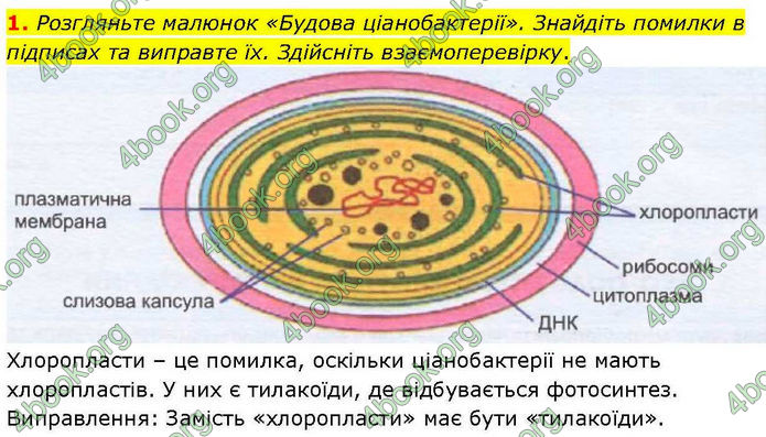 ГДЗ зошит Біологія 7 клас Кулініч