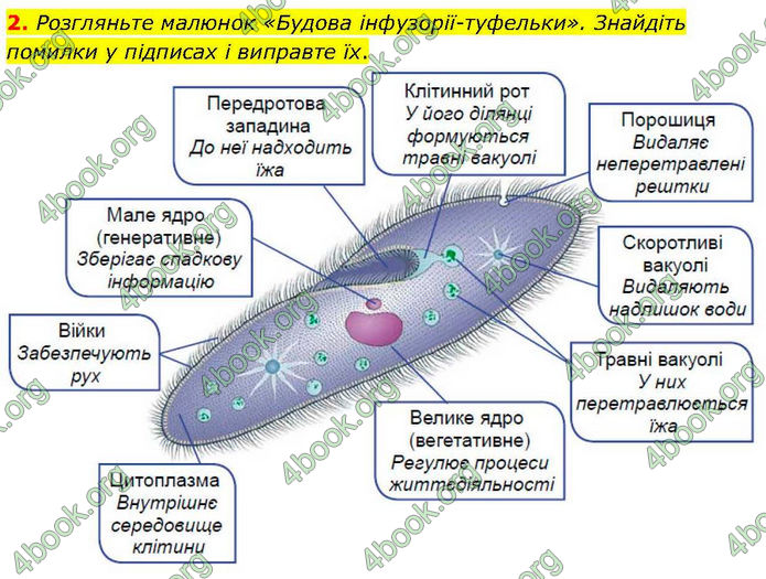 ГДЗ зошит Біологія 7 клас Кулініч