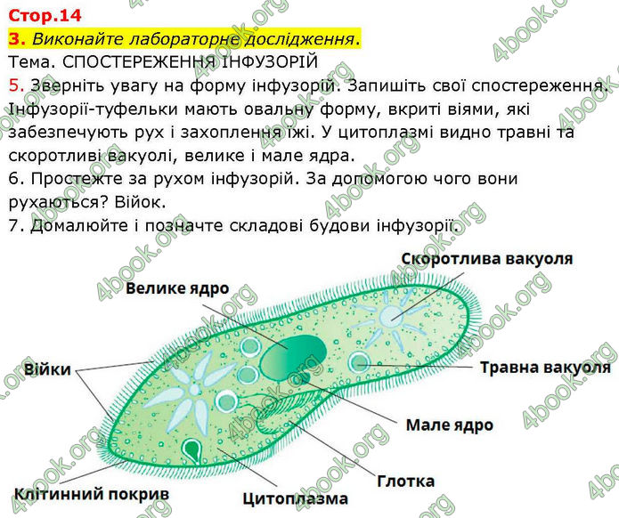 ГДЗ зошит Біологія 7 клас Кулініч