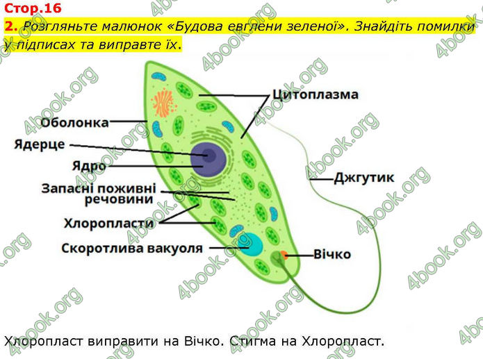 ГДЗ зошит Біологія 7 клас Кулініч