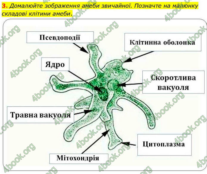 ГДЗ зошит Біологія 7 клас Кулініч