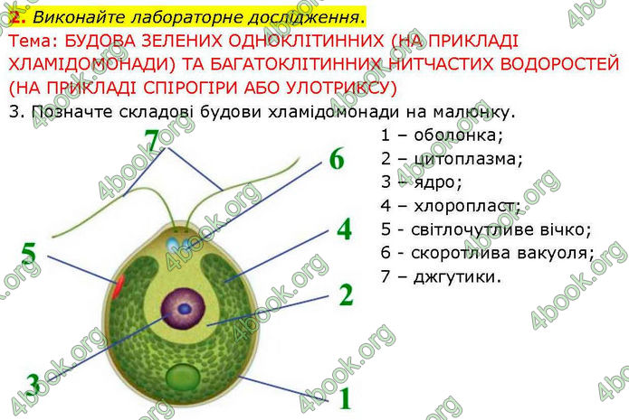 ГДЗ зошит Біологія 7 клас Кулініч