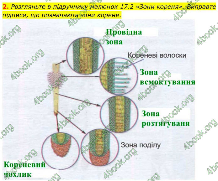 ГДЗ зошит Біологія 7 клас Кулініч