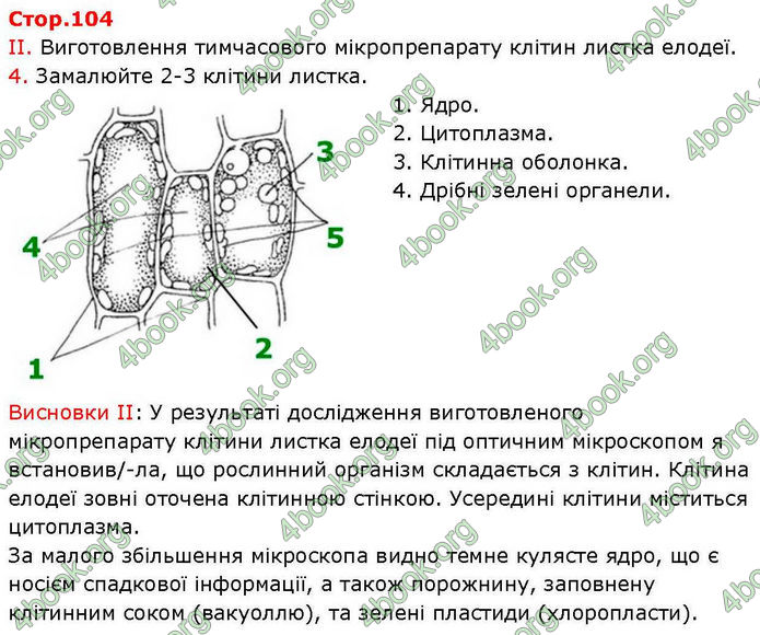 ГДЗ зошит Біологія 7 клас Кулініч