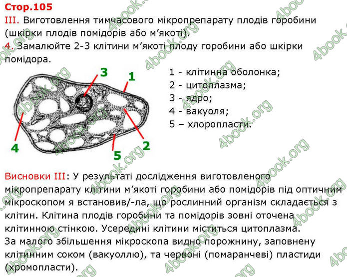 ГДЗ зошит Біологія 7 клас Кулініч