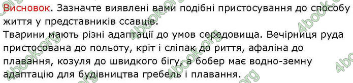 ГДЗ зошит Біологія 7 клас Кулініч