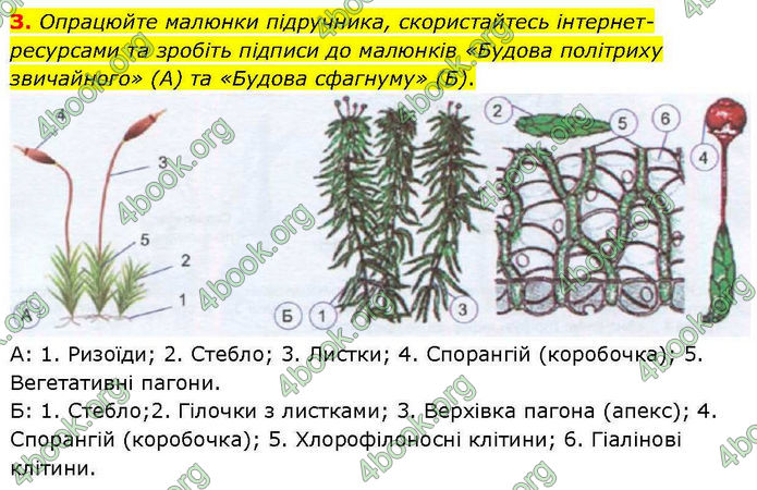 ГДЗ зошит Біологія 7 клас Кулініч