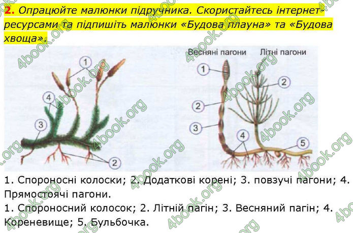 ГДЗ зошит Біологія 7 клас Кулініч