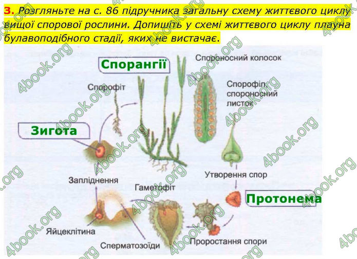 ГДЗ зошит Біологія 7 клас Кулініч