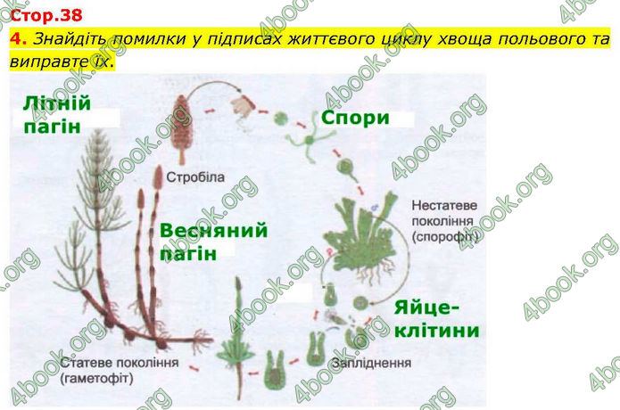 ГДЗ зошит Біологія 7 клас Кулініч